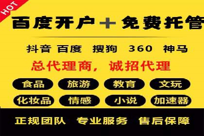 竞价托管实战案例：优化广告投放策略